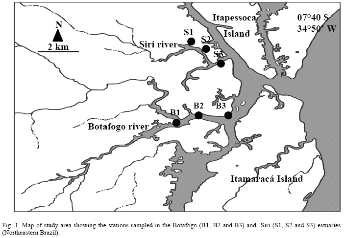 702x487 Spatio Temporal Variations Of Microphytobenthos In The Botafogo