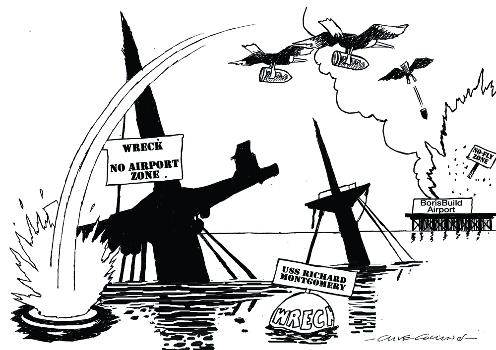 1000x707 Thames Estuary Airport Birds Strike Back Ss Richard