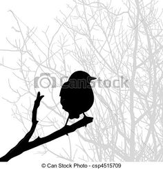 236x246 Bird Sketches You Can Print An Evening With The Ulster Orchestra