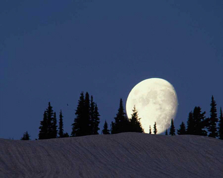 450x360 Mic Uk Shadows Of The Evening