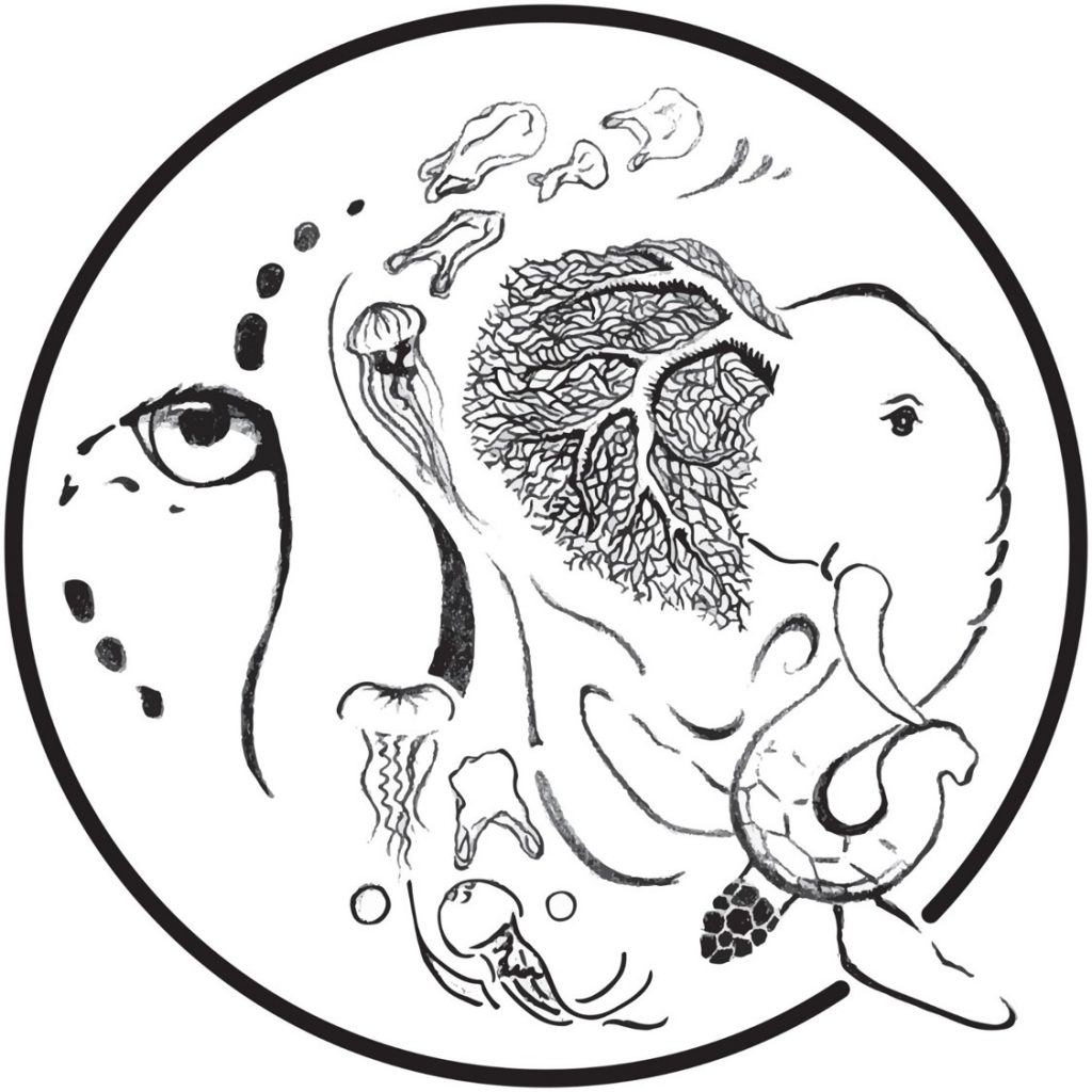 1024x1024 Event Wildlife Health Day (Time And Location Updated) Wildlife