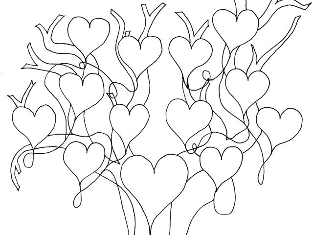 640x480 Template 3 Generation Family Trees Download By Tree Word Excel