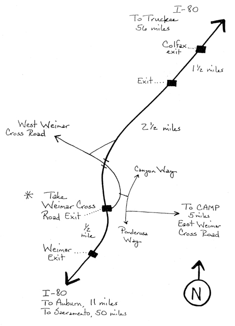 482x669 Tree Of Life Drawings Tree Of Life Map And Directions Things