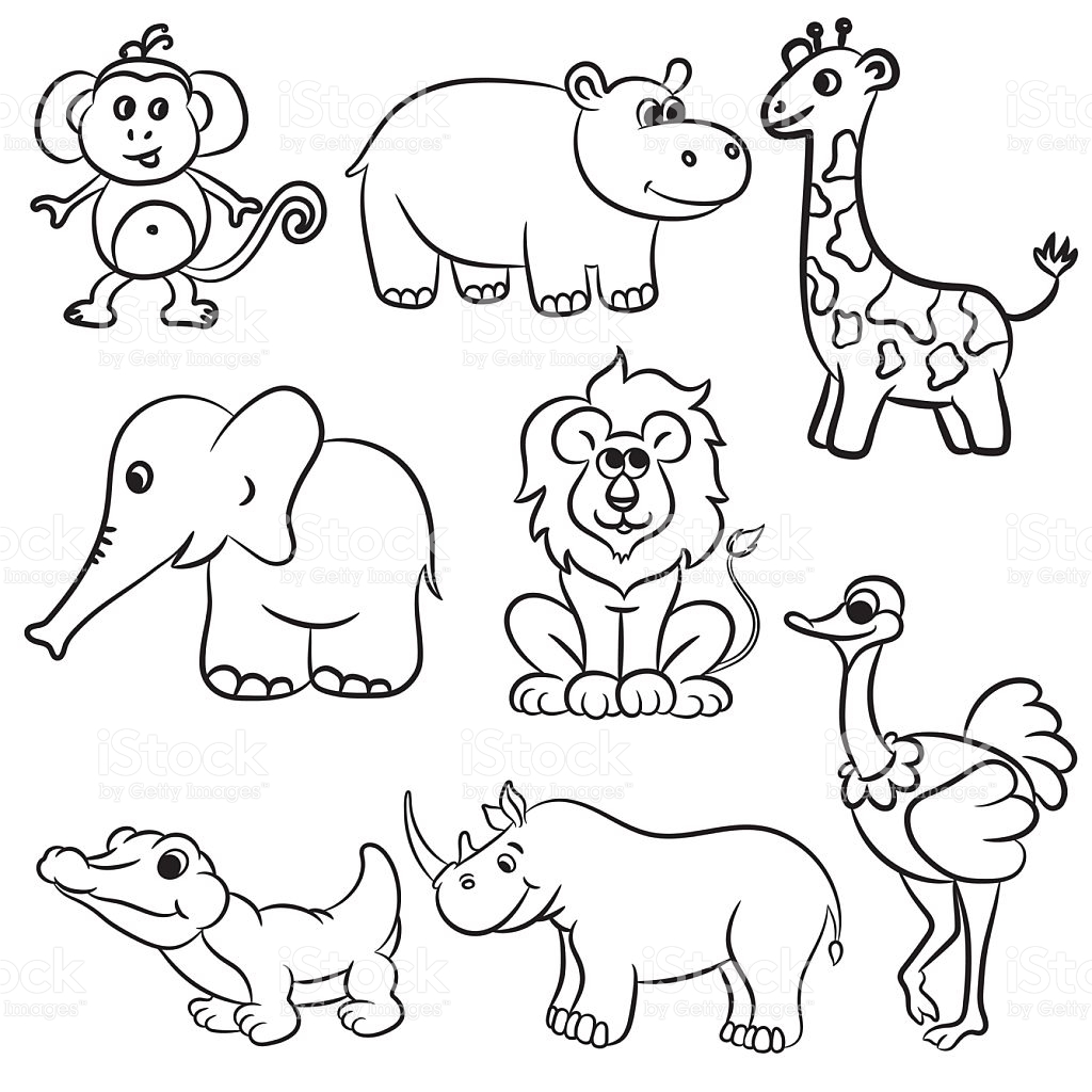 1024x1024 Expert Drawings Of Zoo Animals Cute Outlined Collection Stock