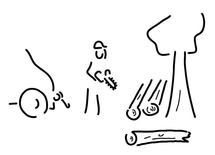 900x647 Forestry Expert Drawing By Lineamentum