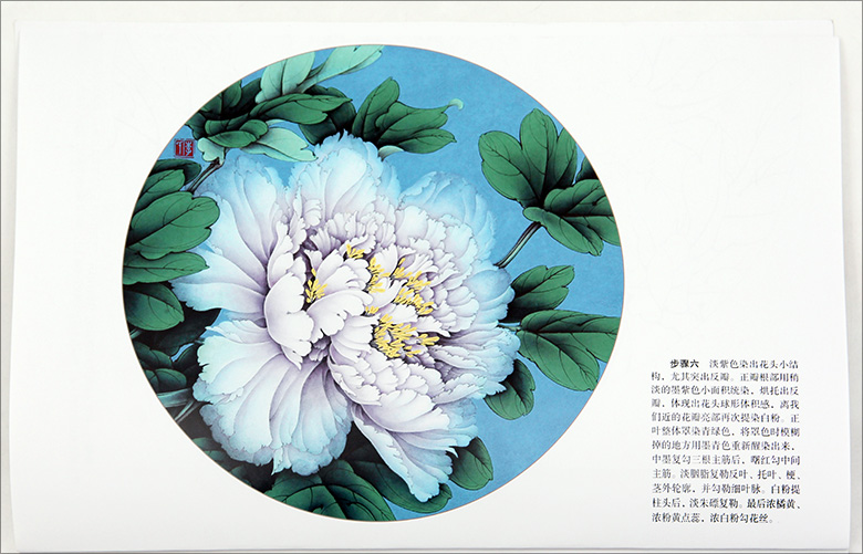 780x501 Famous Line Drawing And Color Peony Peony Twelve Step Explanation