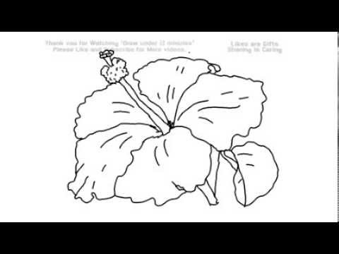 480x360 How To Draw A Hibiscus Flower Under 2 Minutes Yzarts Yzarts