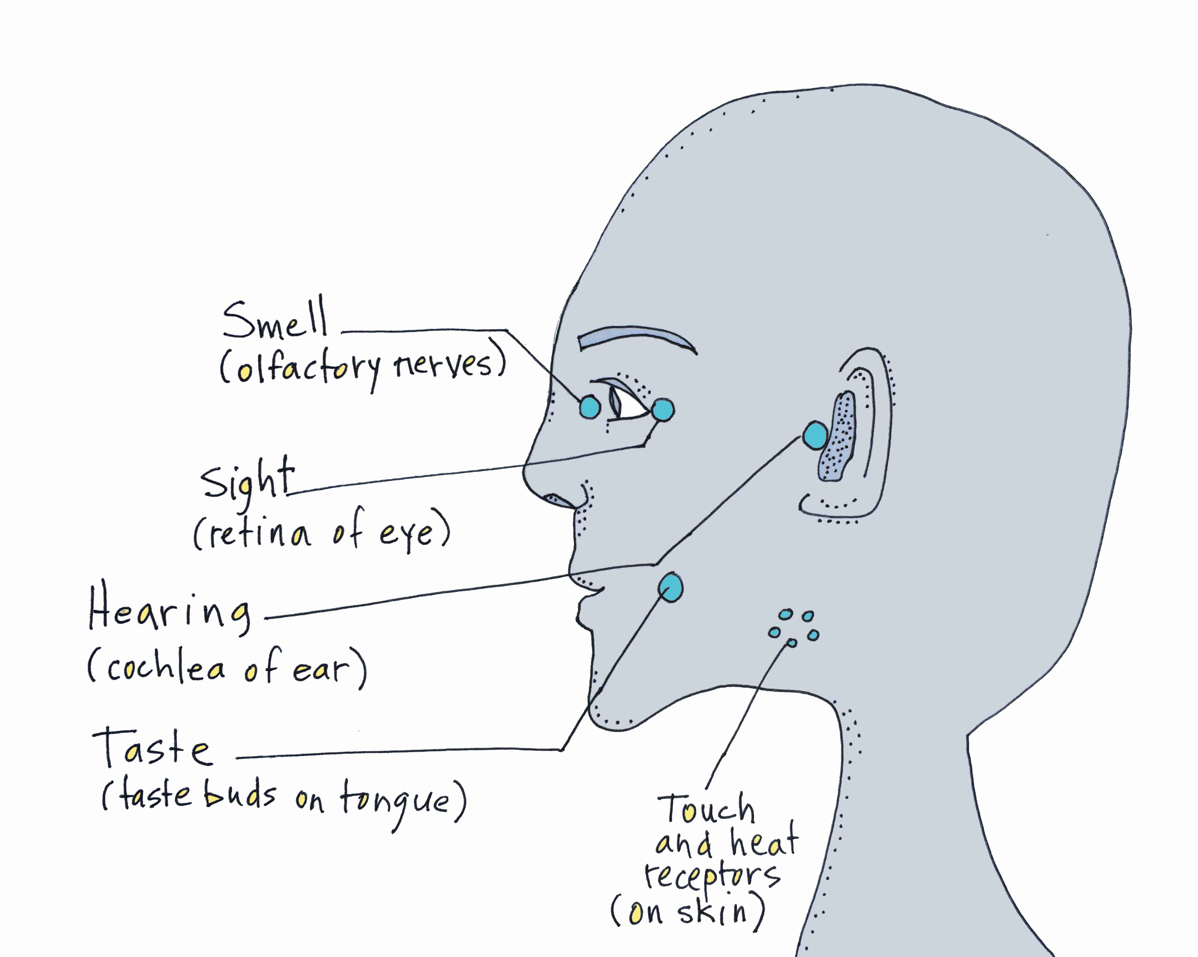 4200x3356 Art Every Day Number 144 Illustration Drawing External
