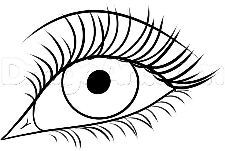 736x496 24 Best Make Up Cards Images On Eyelash Extensions