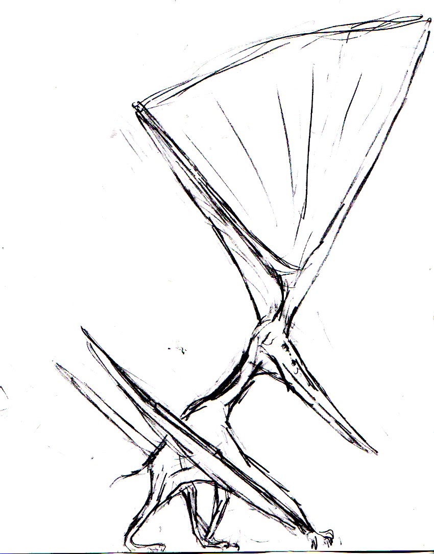 850x1085 Jurassic Albatross Drawings And Sketches .