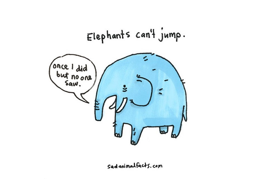 915x611 Sad Animals Facts That'Ll Make You Slightly Depressed