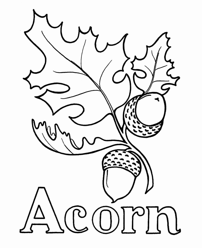 670x820 Easy Fall Drawings Best 25 Acorn Drawing Ideas