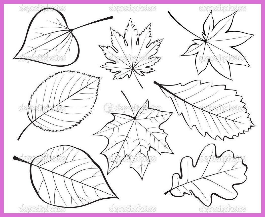 1053x863 The Best For U Falling Leaf Drawing Embroidery Fall Picture