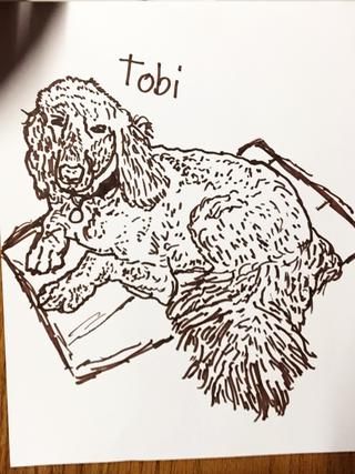 320x427 This Guy Wants To Be Your Best Friend. Cute Drawing Featured