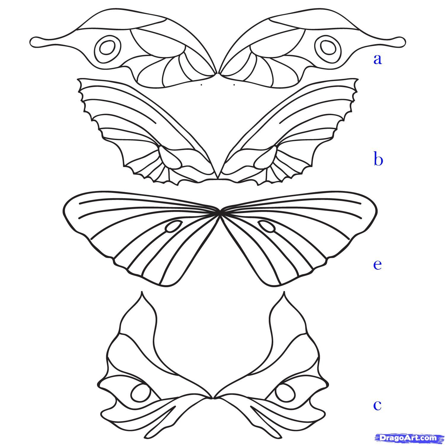 1500x1500 Fairy Wings Drawings Beauty, Fame, Intelligence And Features