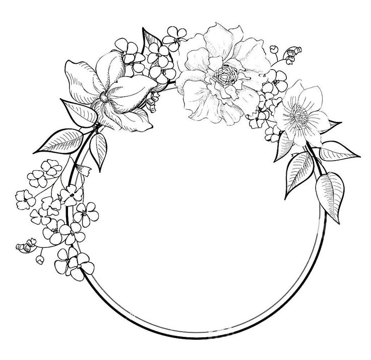 736x715 Flower Border Drawing Abstract Art Coloring Pages Picture