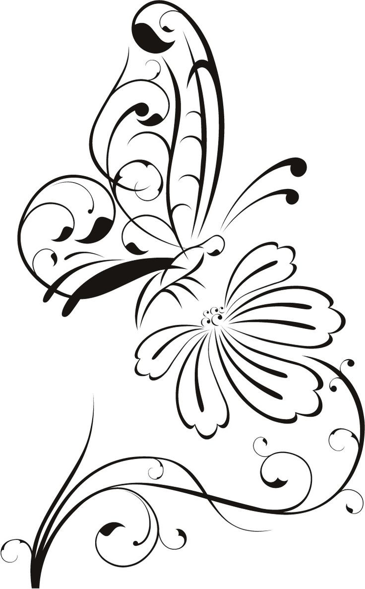 736x1187 Outline Flowers Drawing Best 25 Flower Ideas On Fancy