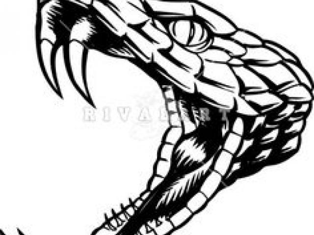 640x480 Fangs Clipart