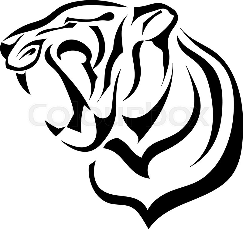 800x753 Silhouette Of Tiger, Angry Beast Bares Its Fangs. Vector