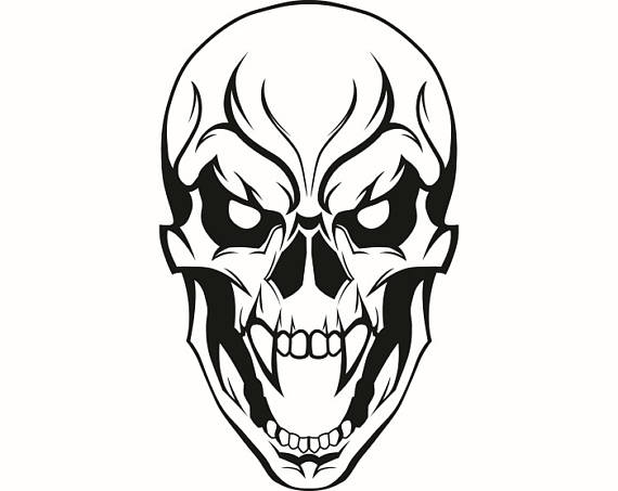 570x453 Skull
