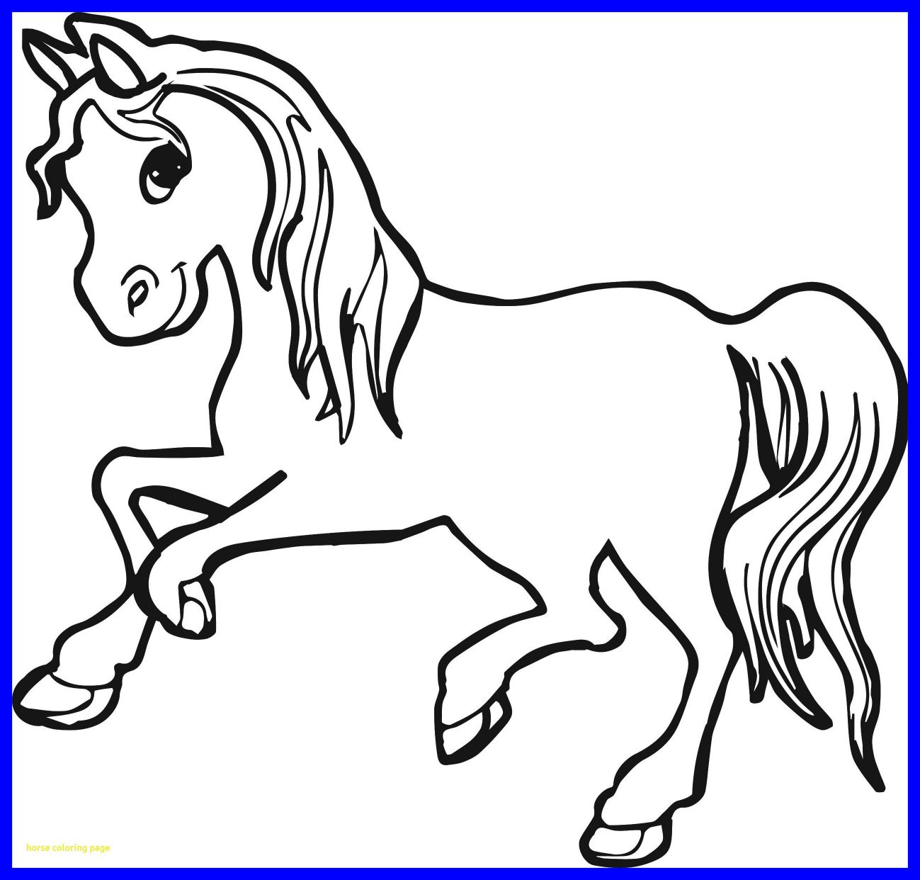 1299x1242 Incredible Funny Horse Butt Backside Rear Stock Image Of Fanny