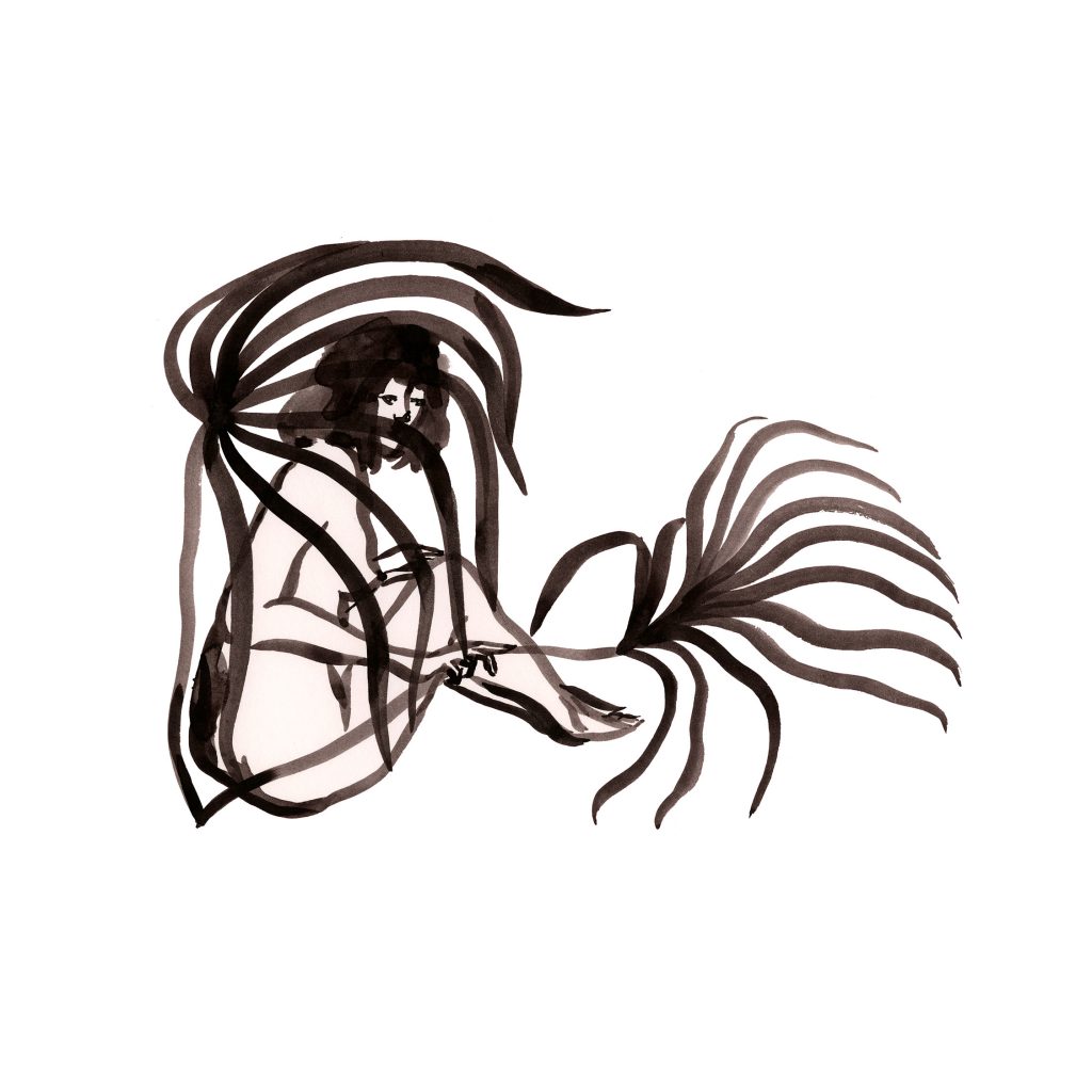 1024x1024 Fanny Gentle