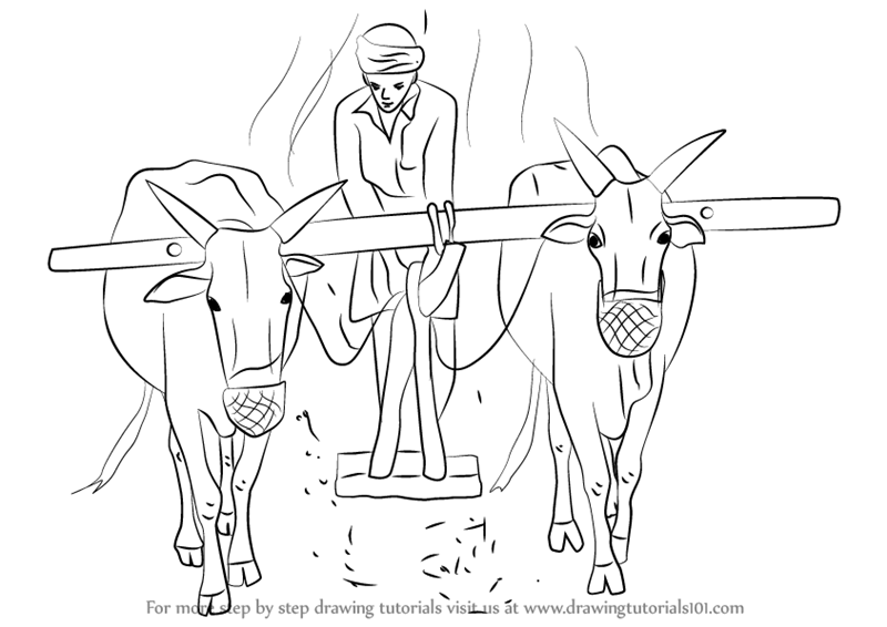 800x566 Learn How To Draw A Farmer Working In The Farm (Other Occupations