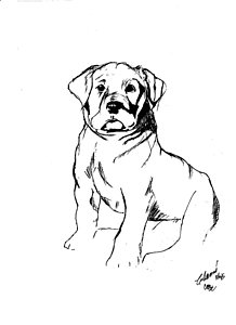 218x300 Fat Dog Drawings Fine Art America