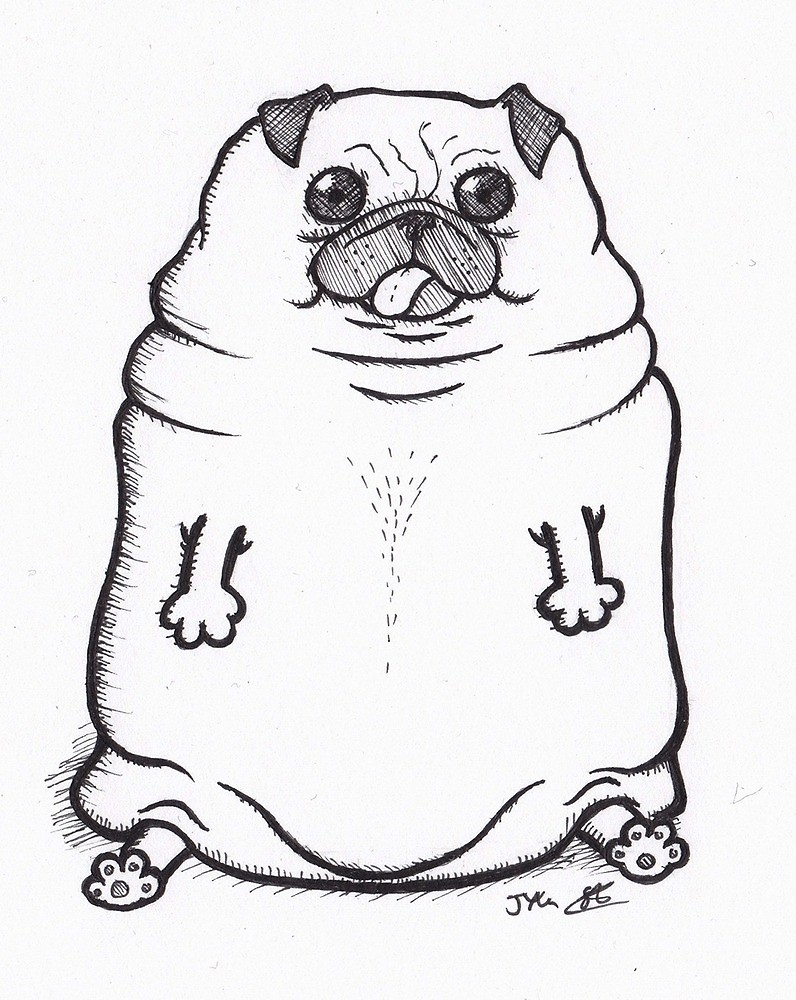 796x1000 Collection Of Fat Pug Drawing High Quality, Free Cliparts