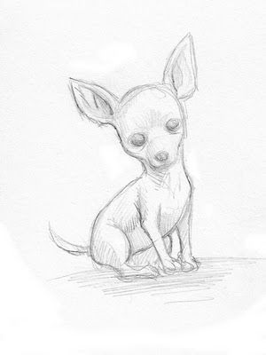 300x400 Pin By L Dd On Golda Dog