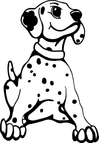 340x491 Speckled Dog Promotions Fundraisingmp Promo Looking