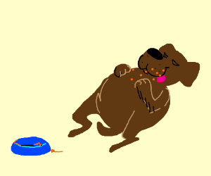 300x250 Fat Dog Ate Too Much Kibble