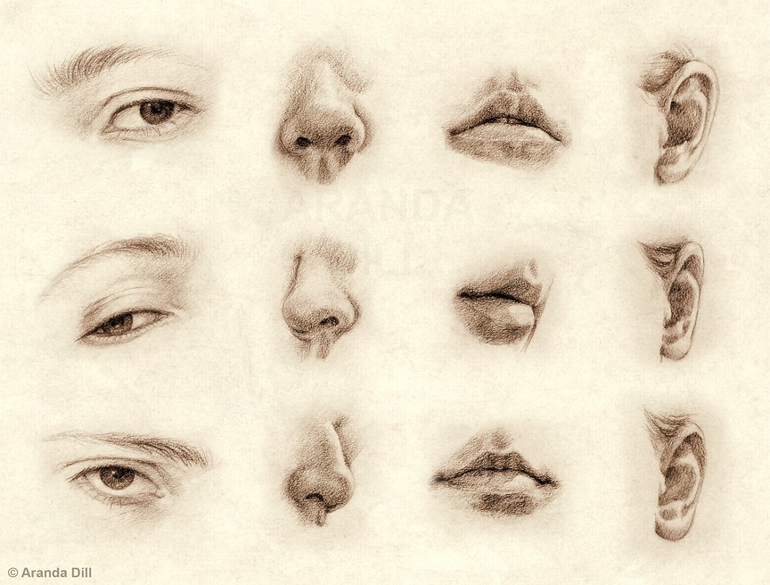 864x656 Facial Feature Drawings