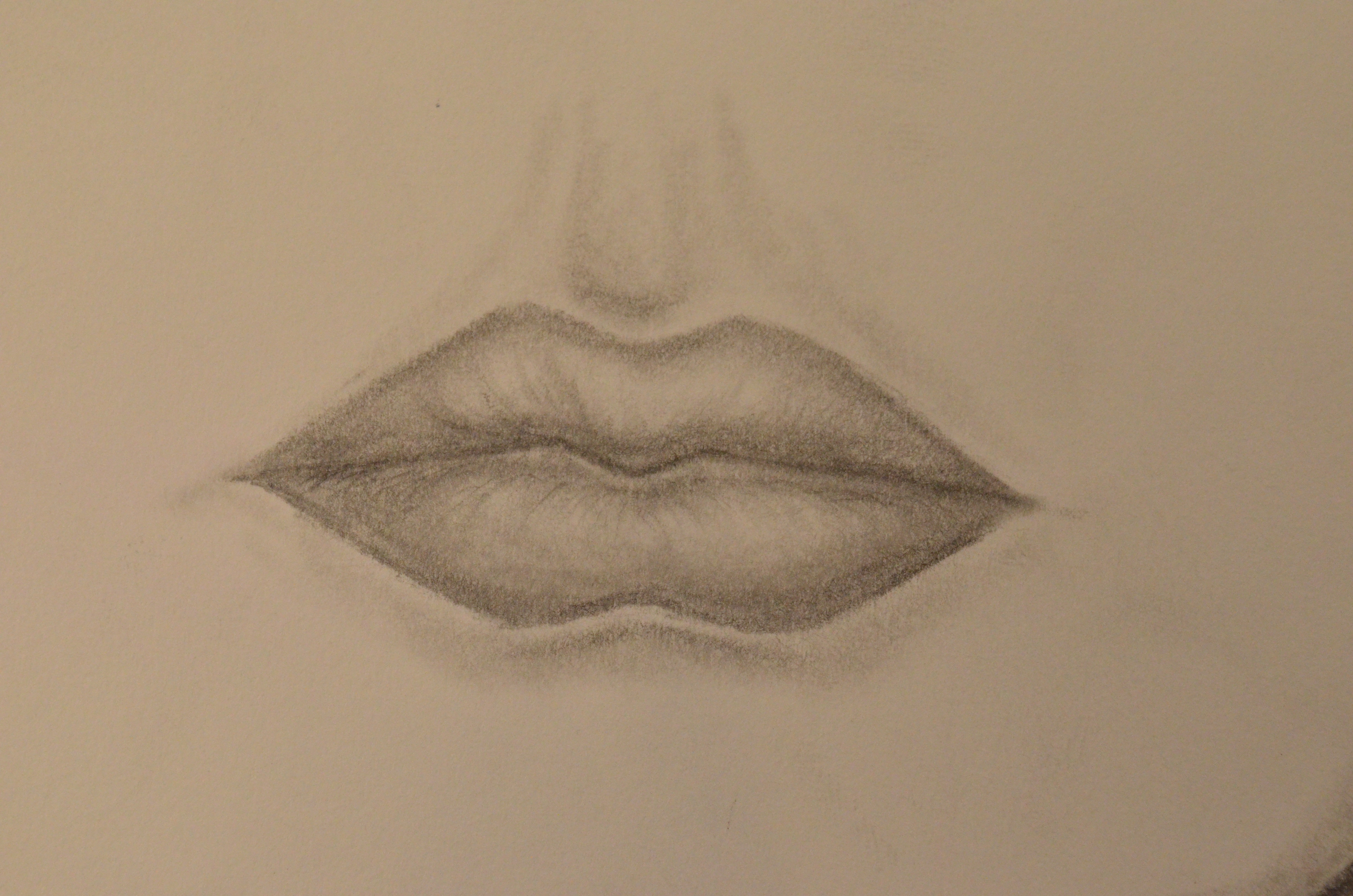 4928x3264 Facial Feature Drawings Mrs Bailey's Art Room