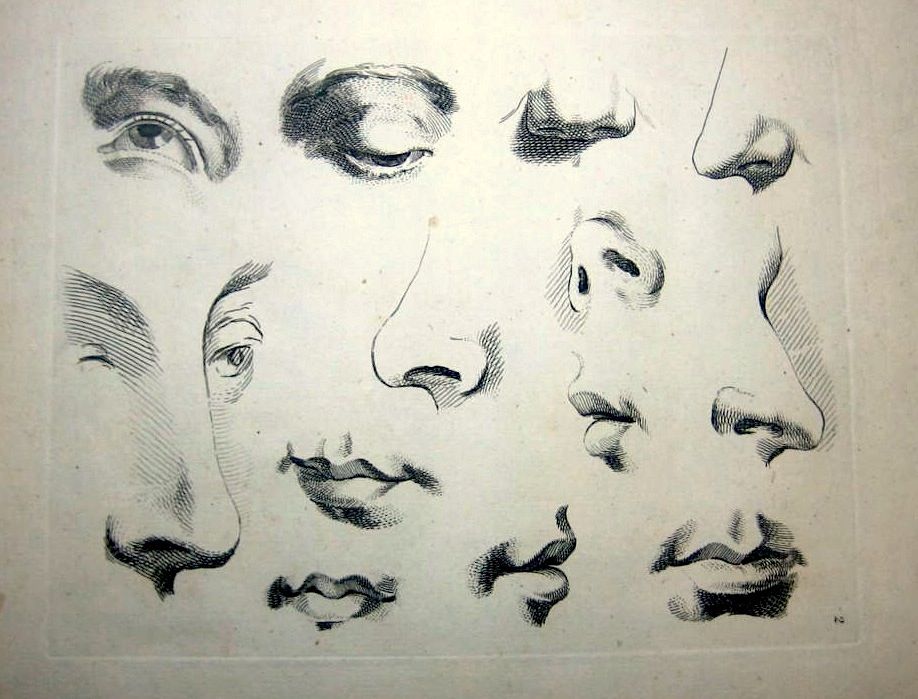 918x699 Eyes, Nose, And Mouths School Of Raphael Art Techniques