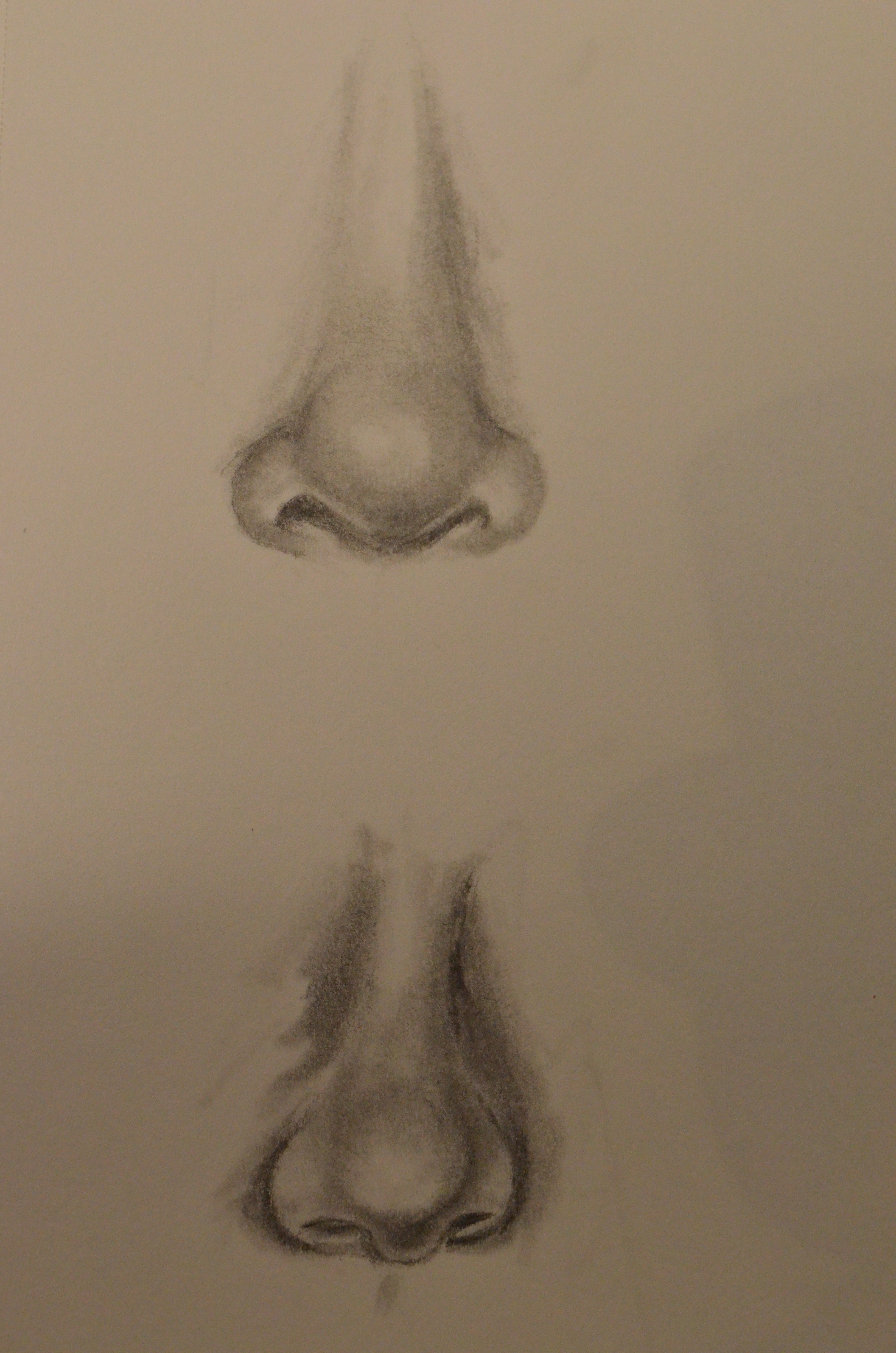 3264x4928 Facial Features Mrs Bailey's Art Room