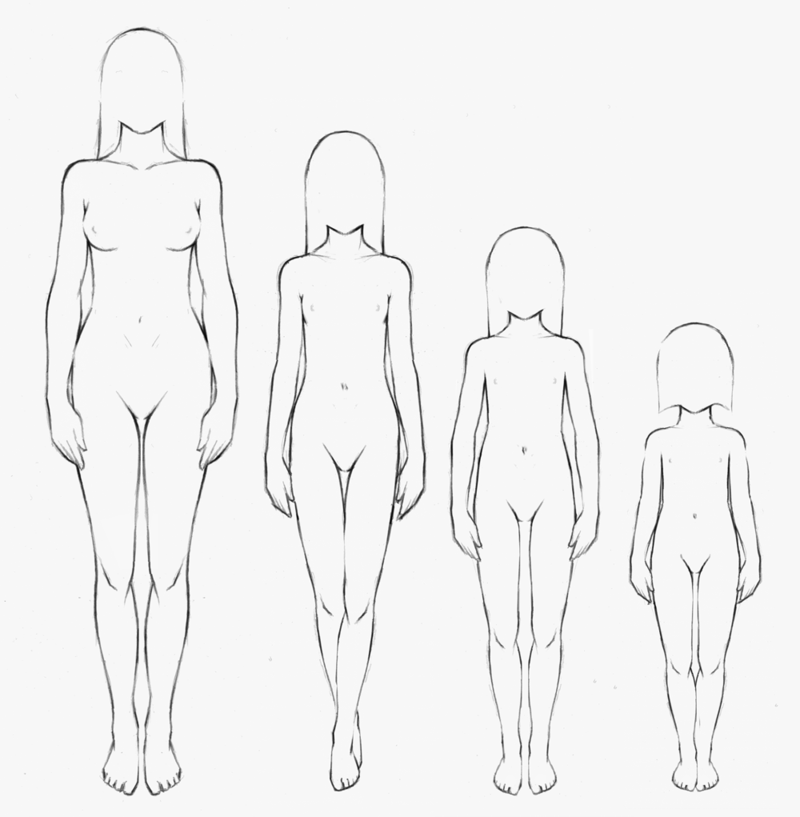 800x817 Female Body Anatomy Drawing Images