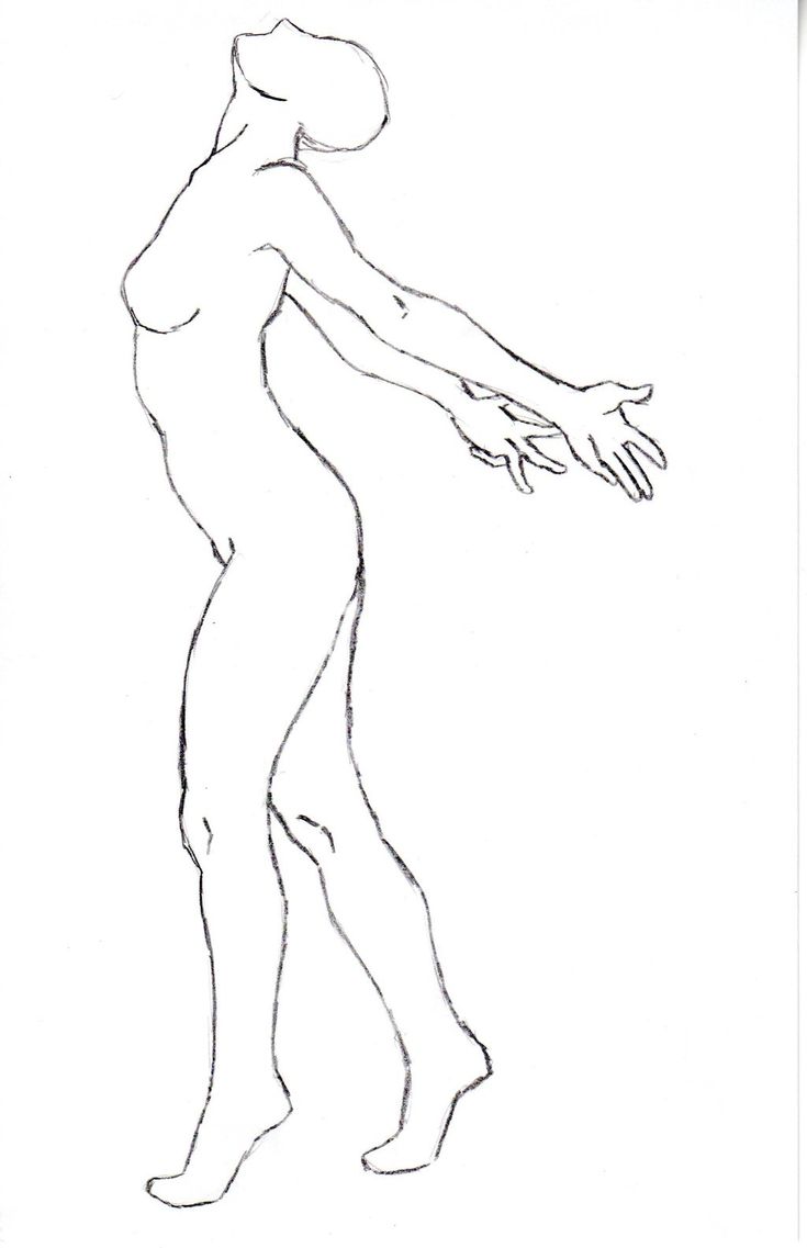 735x1137 Gallery Human Body Base Drawing,