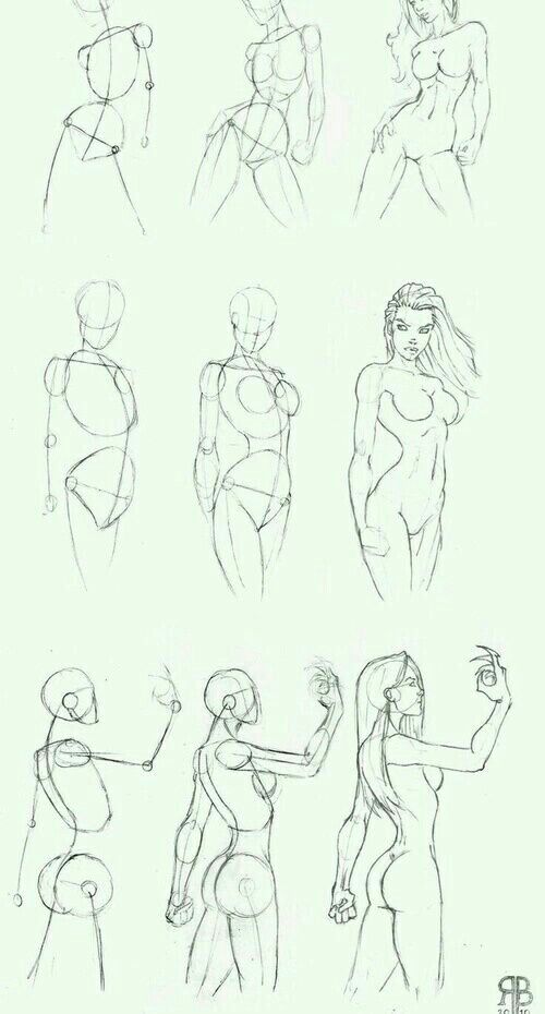 500x930 Pin By Robert St. On Art Drawings, Anatomy