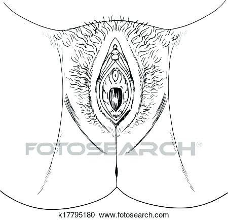 450x433 Outline Of A Human Body Printable Awesome Body Coloring Pages