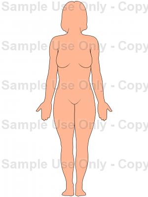 300x400 Female Figure Outline, Anterior View