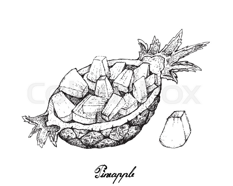 800x640 Fresh Fruits, Illustration Of Hand Drawn Sketch Of Sliced