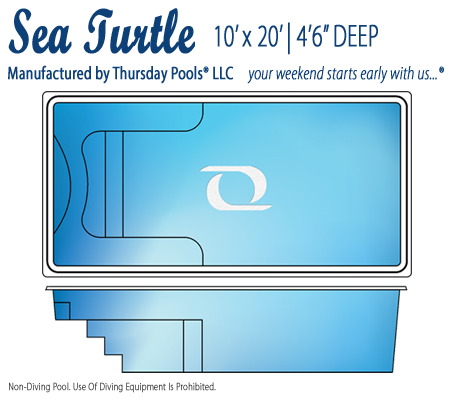 450x400 Sea Turtle Line Drawing