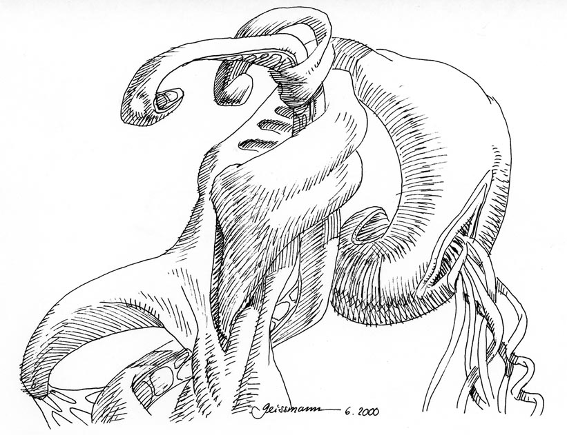 821x631 The Art Of Thomas Geissmann