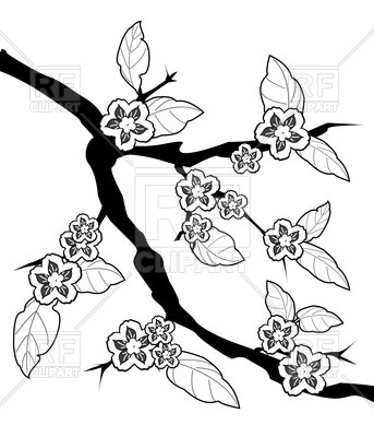 343x400 Sakura Branch And Flowers, Sketch Drawing Vector Image Vector
