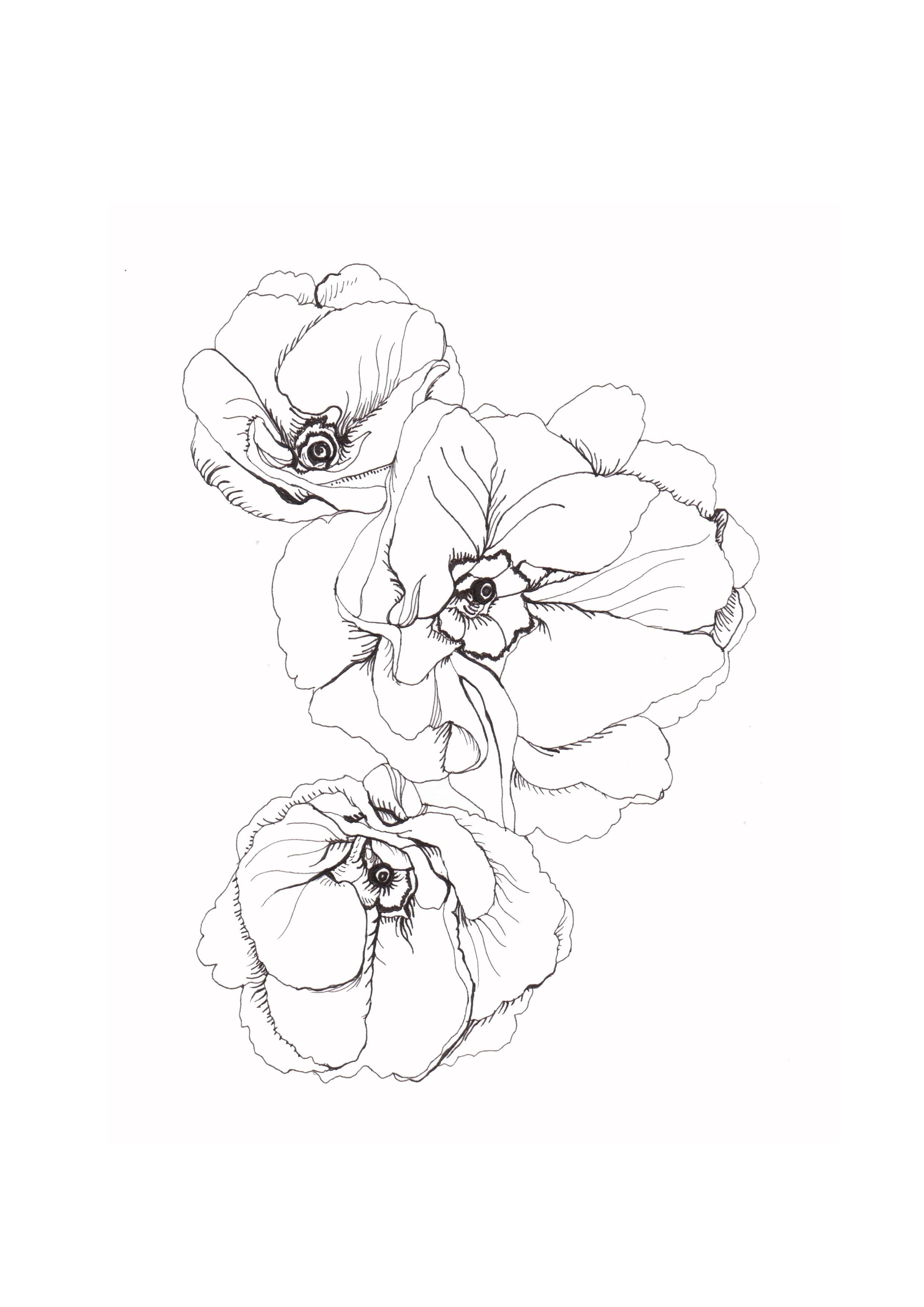 2480x3508 Fine Lines. Botanical Drawings, Tattoo And Drawings