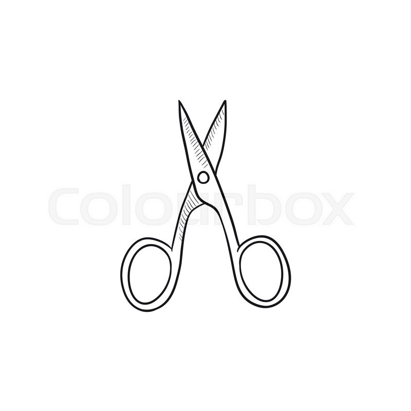 800x800 Nail Scissors Vector Sketch Icon Isolated On Background. Hand