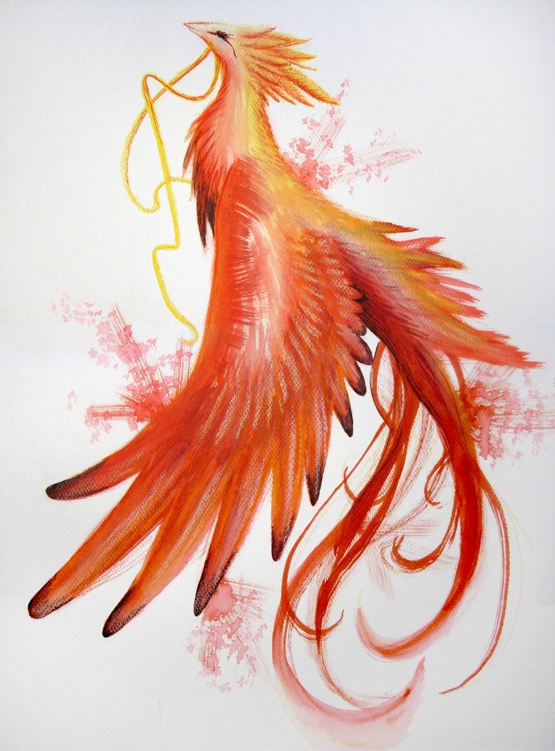 800x1082 Fire Bird Tumblr Ink Lt3 Bird, Tattoo And Phoenix