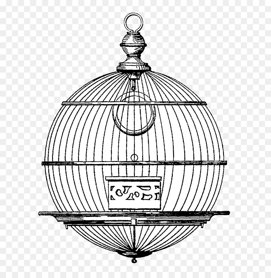 900x920 Birdcage Drawing