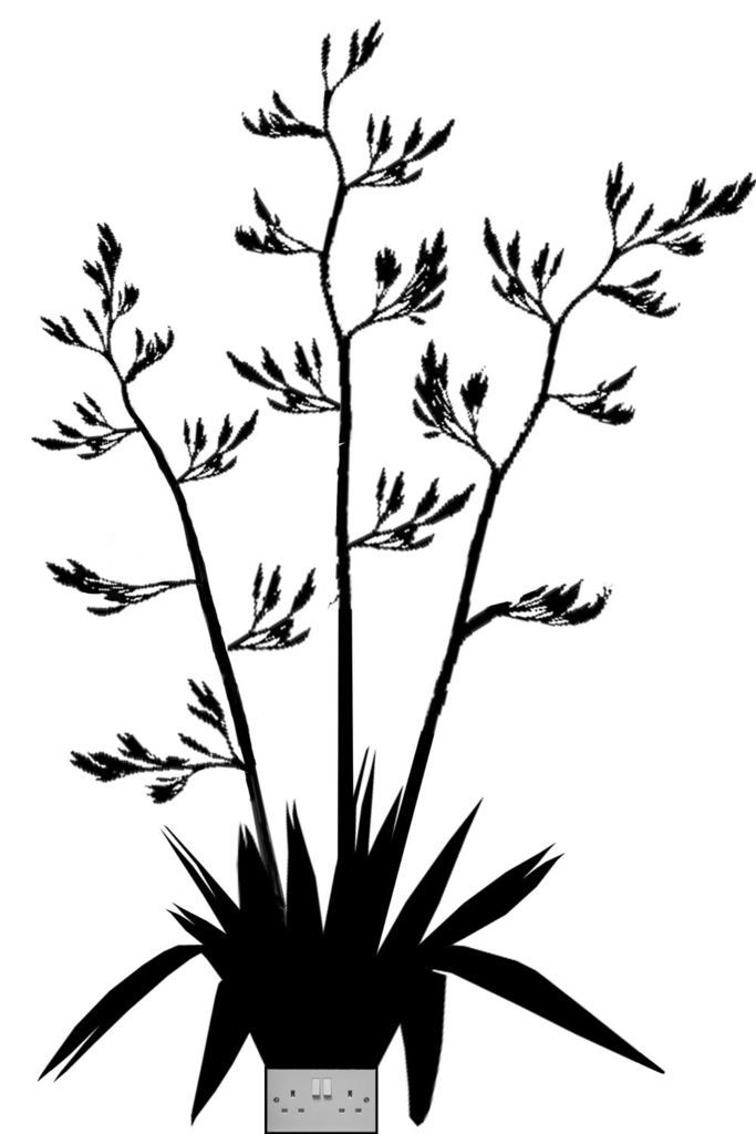 683x1024 Flax Silhouette